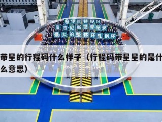 带星的行程码什么样子（行程码带星星的是什么意思）