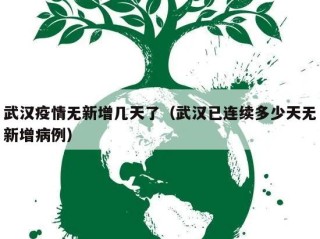 武汉疫情无新增几天了（武汉已连续多少天无新增病例）