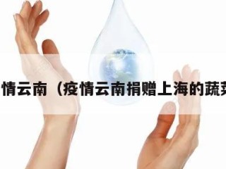 疫情云南（疫情云南捐赠上海的蔬菜）