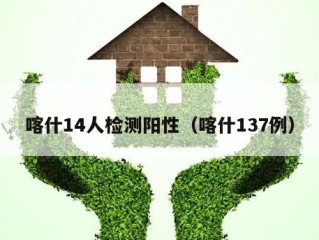 喀什14人检测阳性（喀什137例）